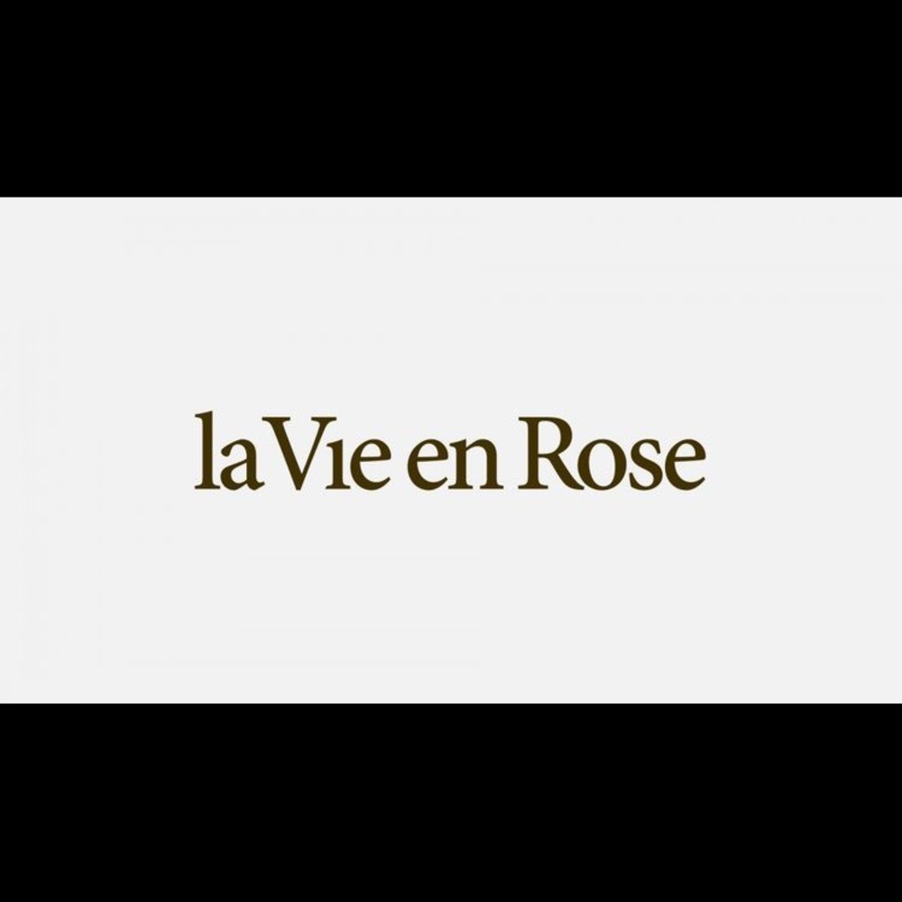 VINTAGE La Vie En Rose robe🤍🎀